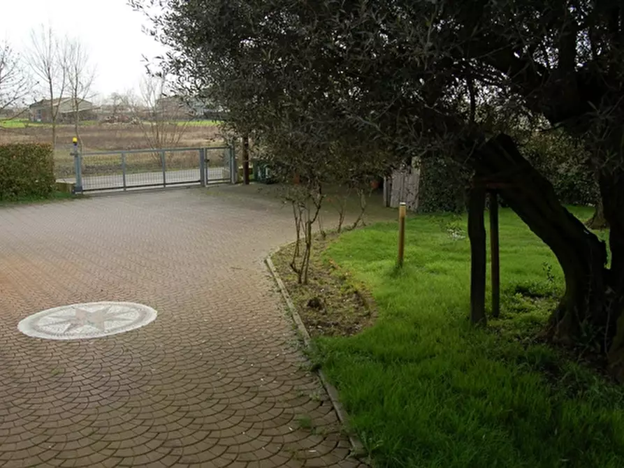 Immagine 5 di Casa indipendente in vendita  a Pianiga