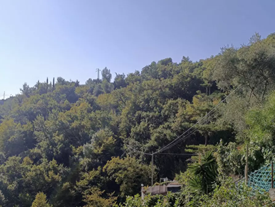 Immagine 15 di Casa bifamiliare in vendita  in Via Ludovico Ariosto a San Remo