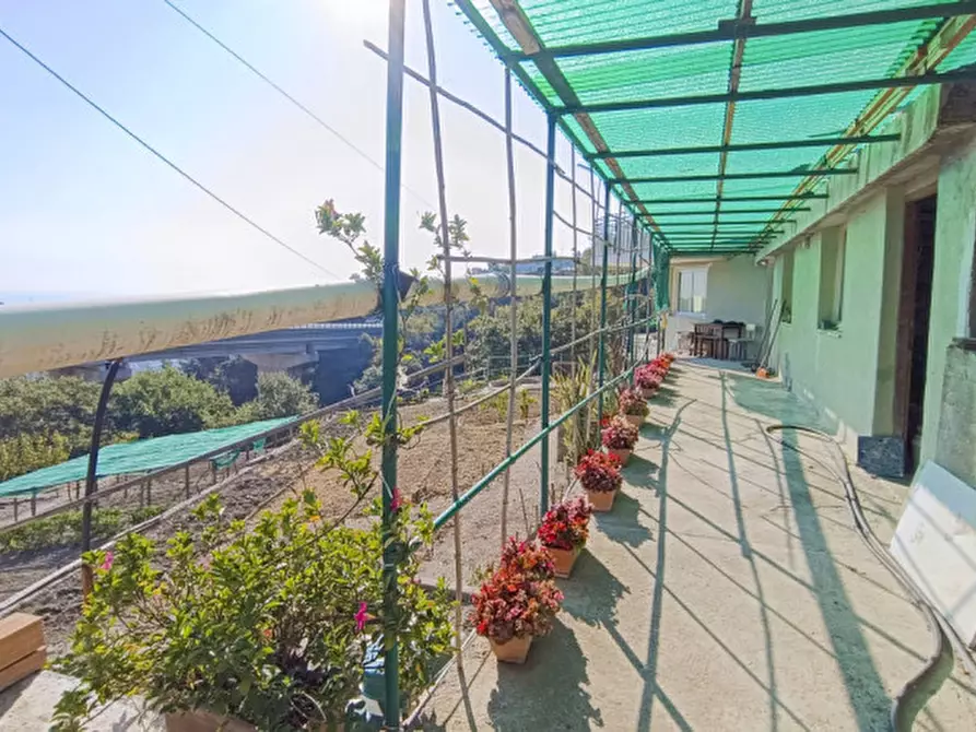 Immagine 35 di Casa bifamiliare in vendita  in Via Ludovico Ariosto a San Remo