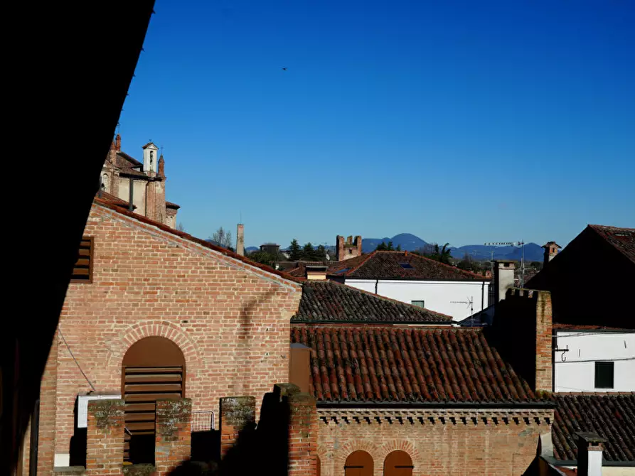 Immagine 5 di Palazzo in vendita  in Via Carrarese a Montagnana