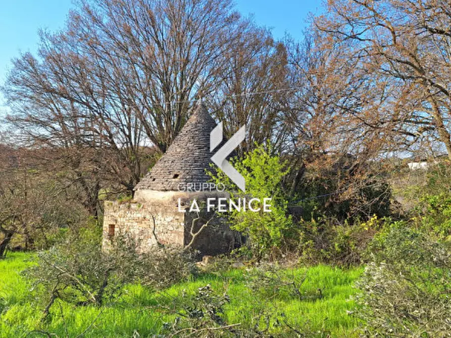Immagine 3 di Rustico / casale in vendita  in contrada Falsegna a Locorotondo