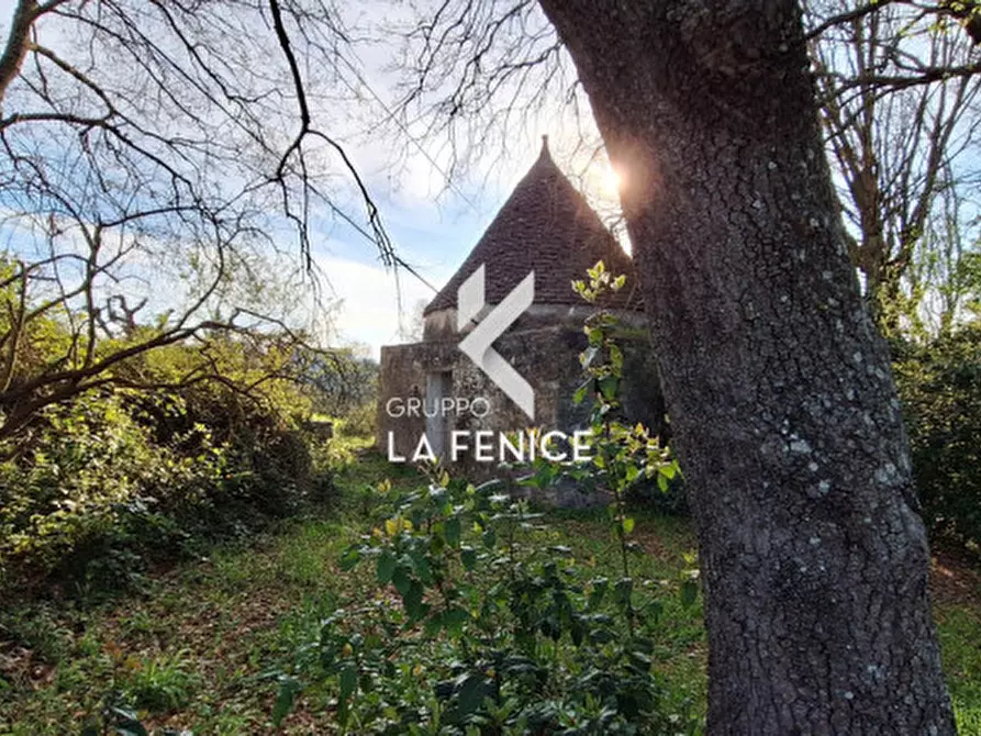 Immagine 4 di Rustico / casale in vendita  in contrada Falsegna a Locorotondo