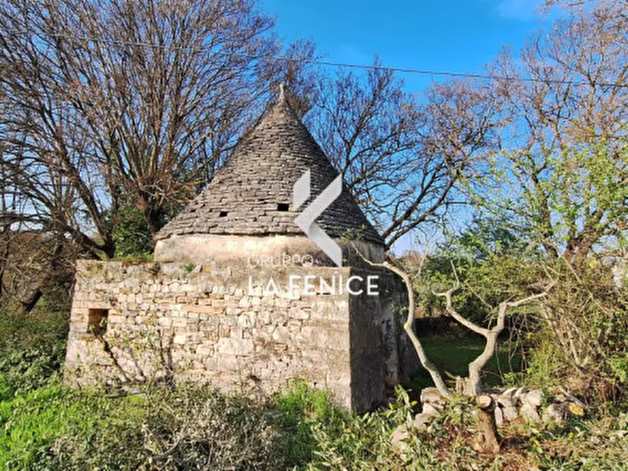 Immagine 6 di Rustico / casale in vendita  in contrada Falsegna a Locorotondo