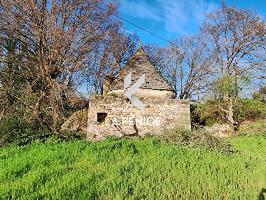 Immagine 7 di Rustico / casale in vendita  in contrada Falsegna a Locorotondo