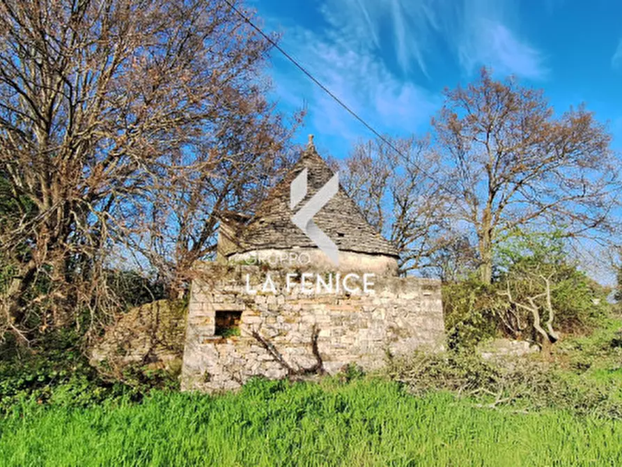 Immagine 9 di Rustico / casale in vendita  in contrada Falsegna a Locorotondo