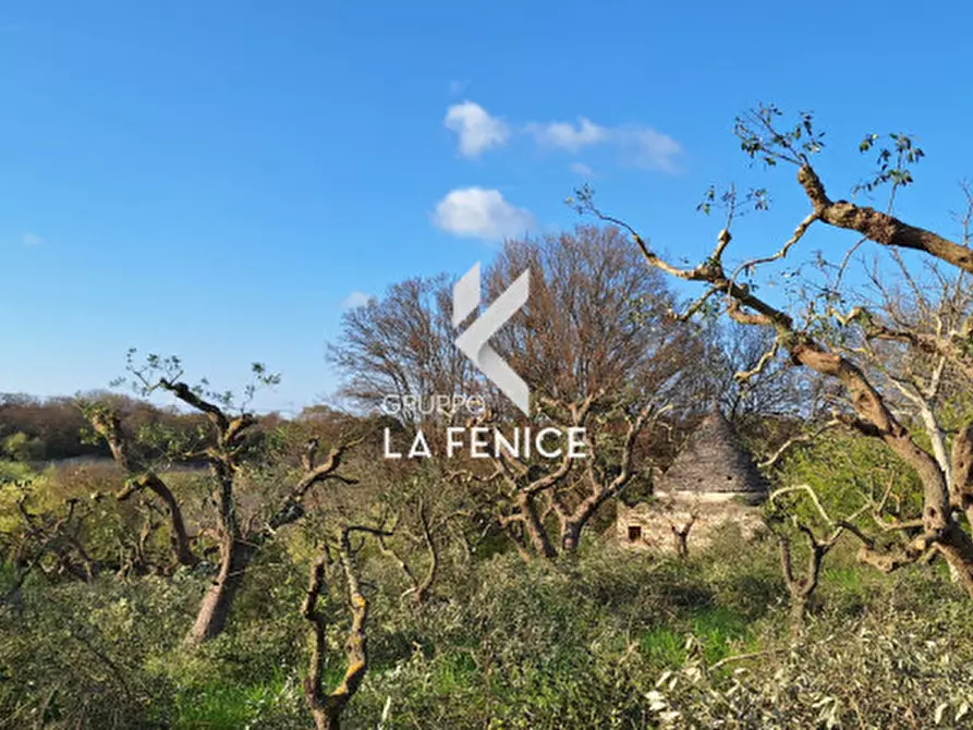 Immagine 10 di Rustico / casale in vendita  in contrada Falsegna a Locorotondo