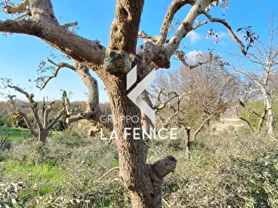 Immagine 11 di Rustico / casale in vendita  in contrada Falsegna a Locorotondo