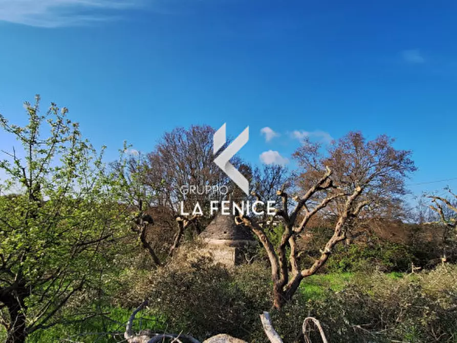 Immagine 12 di Rustico / casale in vendita  in contrada Falsegna a Locorotondo