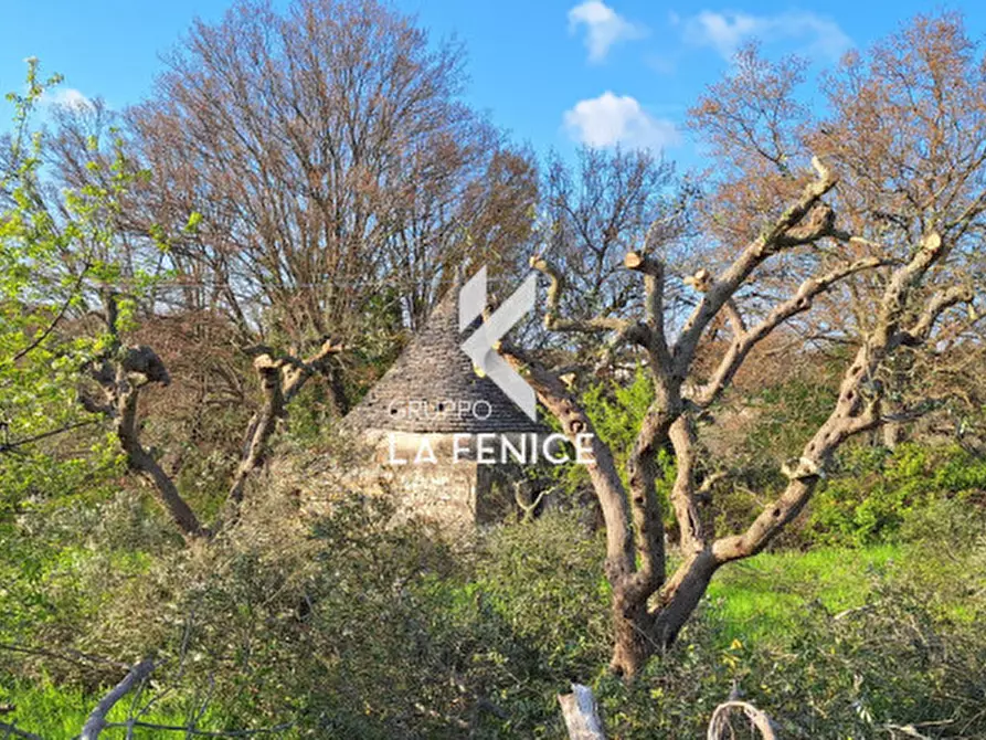 Immagine 13 di Rustico / casale in vendita  in contrada Falsegna a Locorotondo