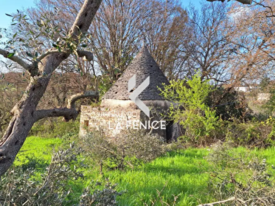 Immagine 14 di Rustico / casale in vendita  in contrada Falsegna a Locorotondo