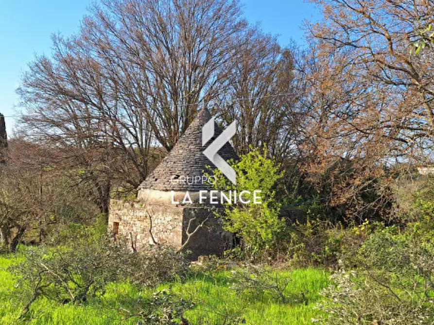 Immagine 15 di Rustico / casale in vendita  in contrada Falsegna a Locorotondo