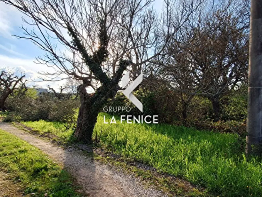 Immagine 16 di Rustico / casale in vendita  in contrada Falsegna a Locorotondo