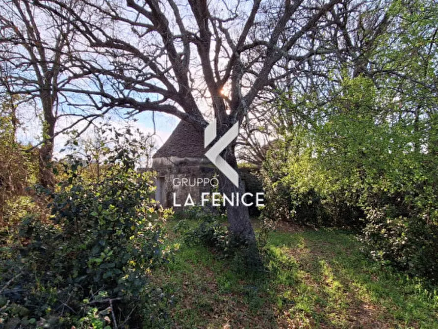 Immagine 17 di Rustico / casale in vendita  in contrada Falsegna a Locorotondo