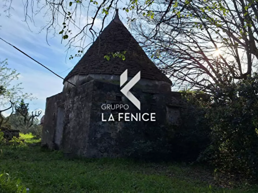 Immagine 18 di Rustico / casale in vendita  in contrada Falsegna a Locorotondo