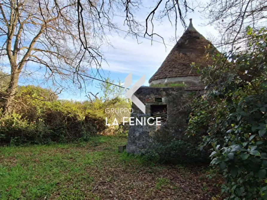 Immagine 19 di Rustico / casale in vendita  in contrada Falsegna a Locorotondo