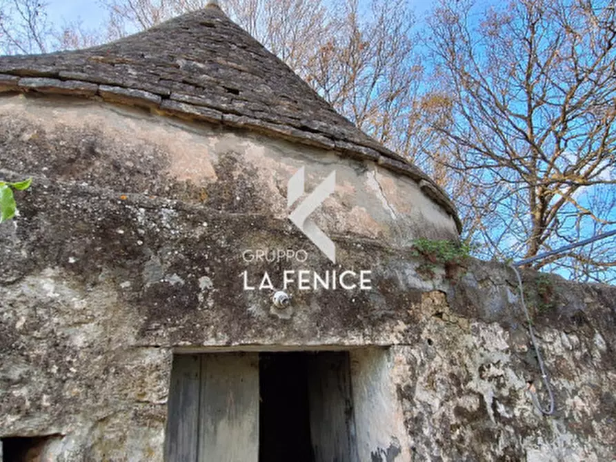 Immagine 20 di Rustico / casale in vendita  in contrada Falsegna a Locorotondo