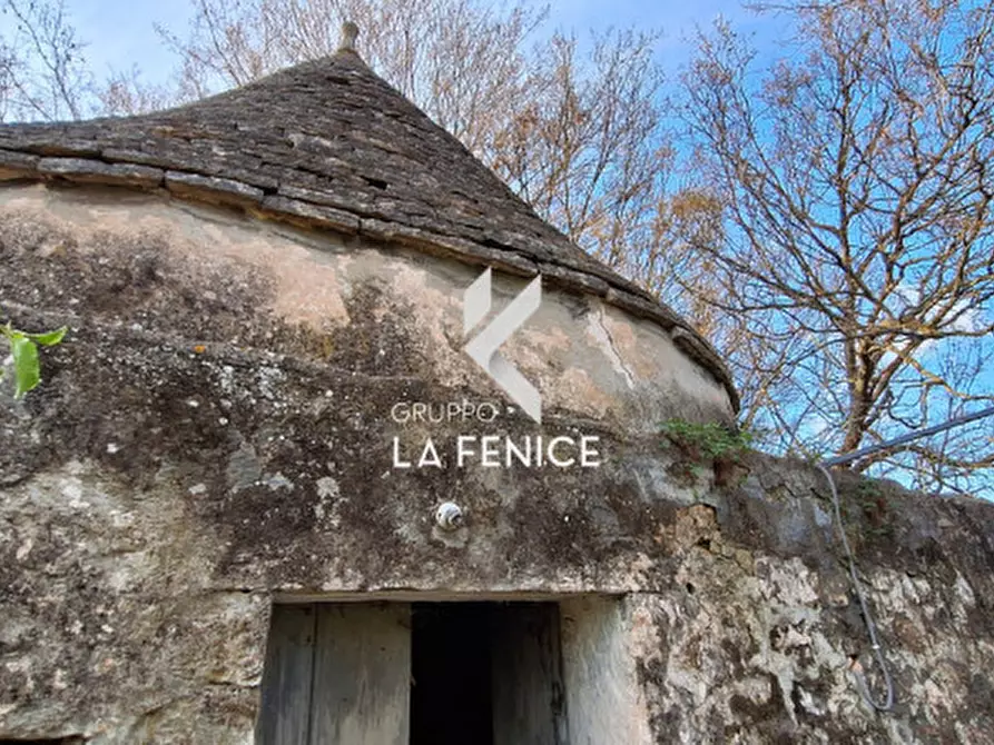 Immagine 21 di Rustico / casale in vendita  in contrada Falsegna a Locorotondo