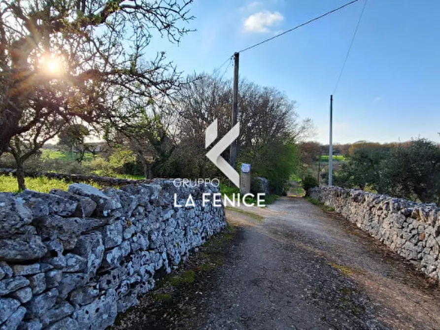 Immagine 29 di Rustico / casale in vendita  in contrada Falsegna a Locorotondo