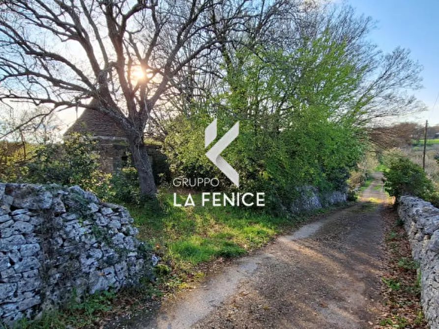 Immagine 30 di Rustico / casale in vendita  in contrada Falsegna a Locorotondo