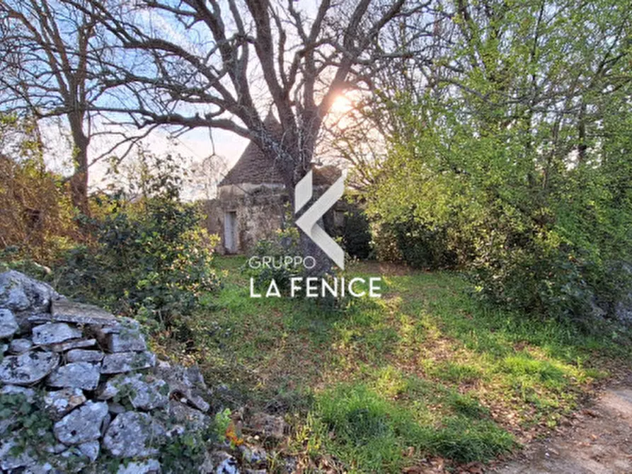 Immagine 31 di Rustico / casale in vendita  in contrada Falsegna a Locorotondo