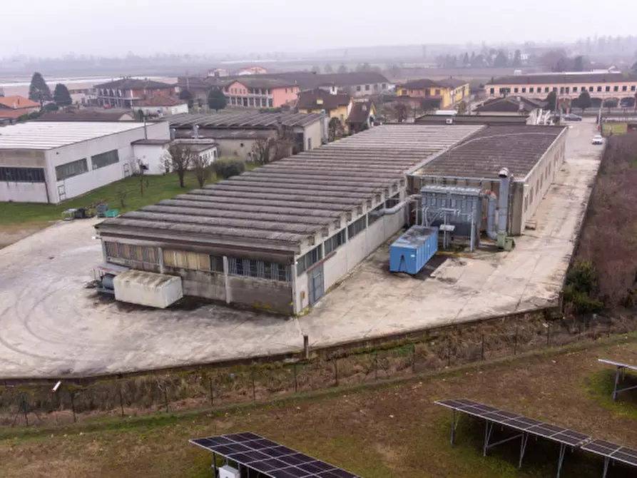 Immagine 4 di Capannone industriale in affitto  in via nuova a Casale Di Scodosia