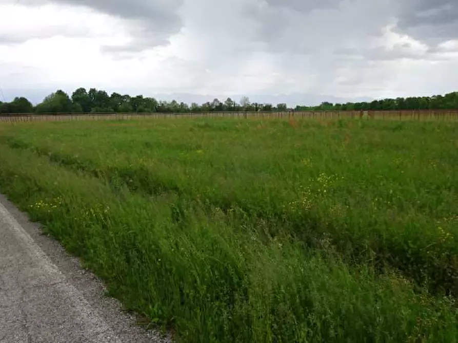 Immagine 2 di Terreno in vendita  in Via Risorgimento a Fiume Veneto