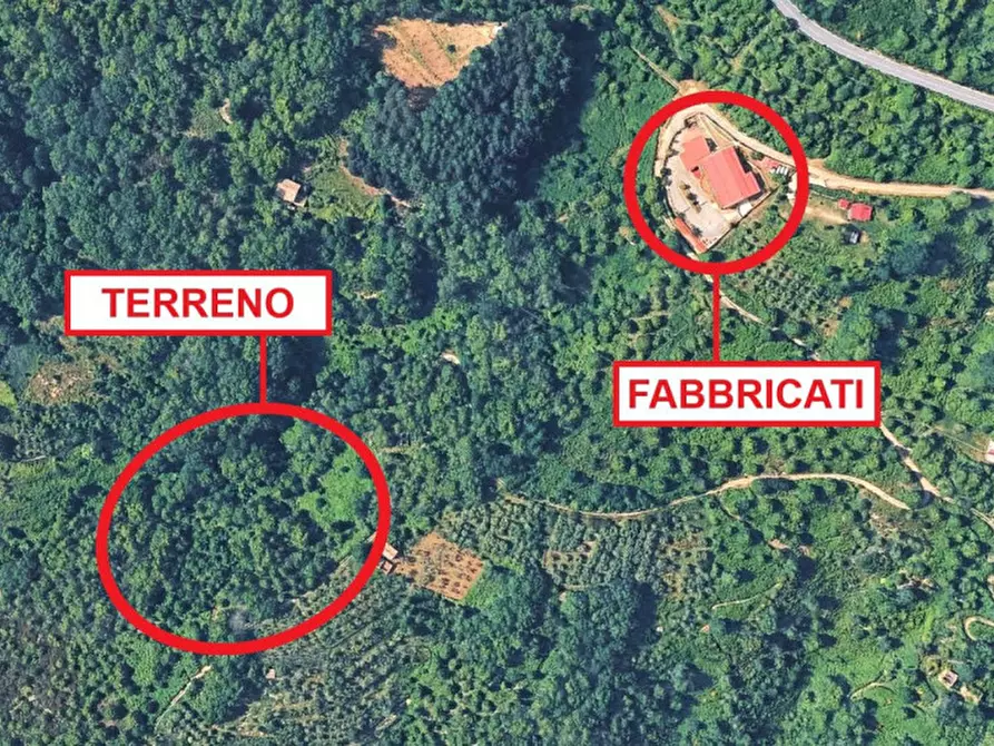 Immagine 27 di Attività commerciale in vendita  in S.da Statale 19 delle Calabrie, San Pietro Apostolo CZ, Italia a San Pietro Apostolo