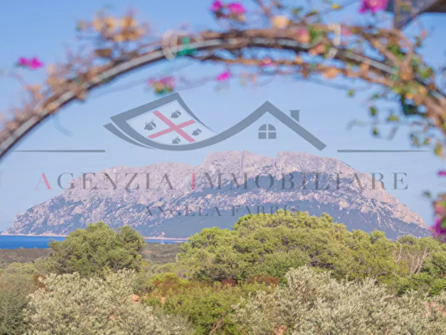 Immagine 1 di Casa indipendente in vendita  in Via Punta Filettu a Olbia