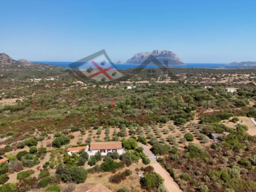 Immagine 2 di Casa indipendente in vendita  in Via Punta Filettu a Olbia