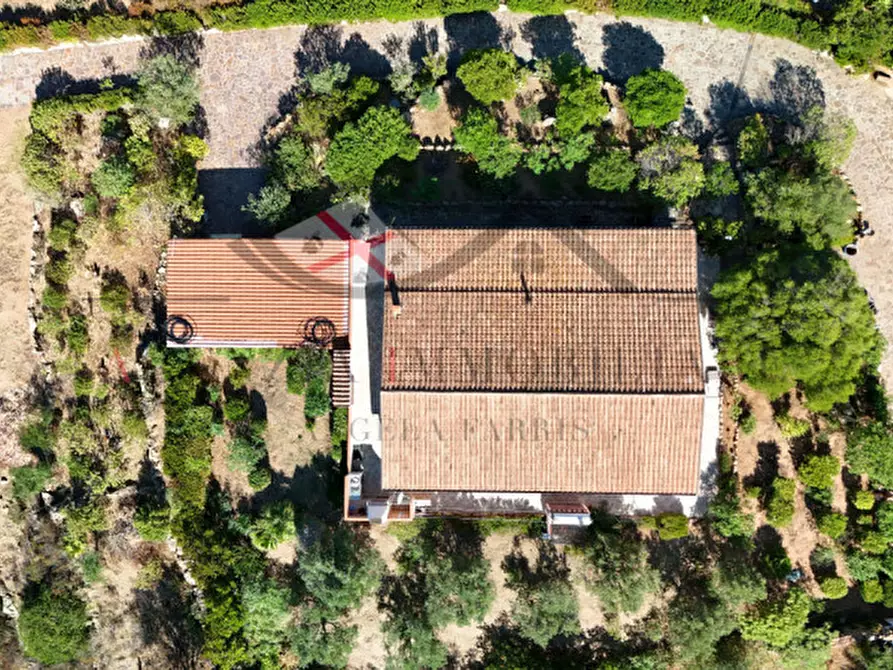 Immagine 5 di Casa indipendente in vendita  in Via Punta Filettu a Olbia