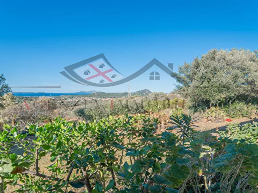 Immagine 12 di Casa indipendente in vendita  in Via Punta Filettu a Olbia