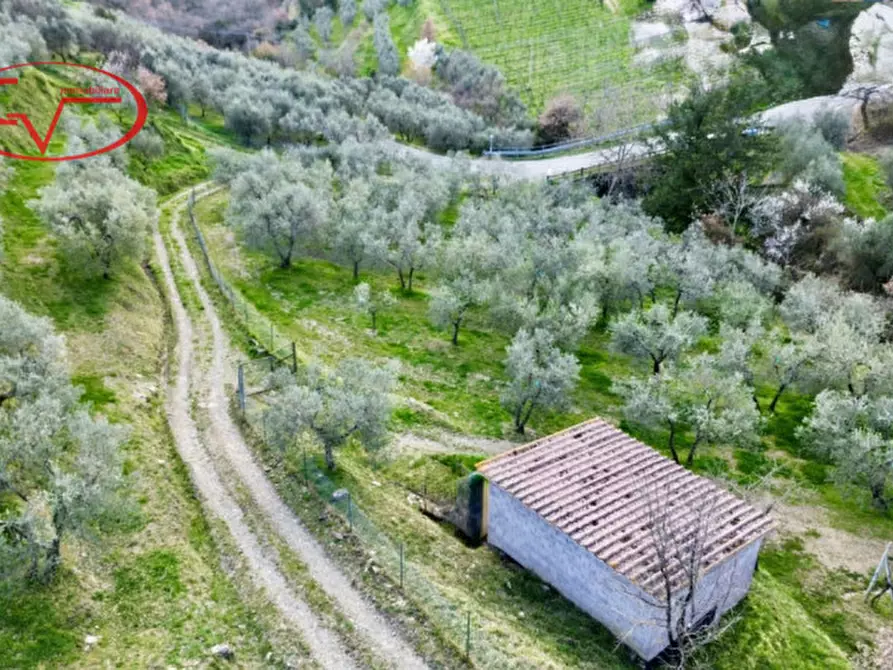 Immagine 1 di Magazzino in vendita  in Strada vicinale di Faeto a Loro Ciuffenna