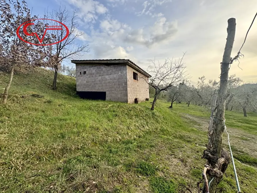 Immagine 2 di Magazzino in vendita  in Strada vicinale di Faeto a Loro Ciuffenna