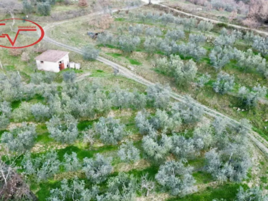 Immagine 5 di Magazzino in vendita  in Strada vicinale di Faeto a Loro Ciuffenna