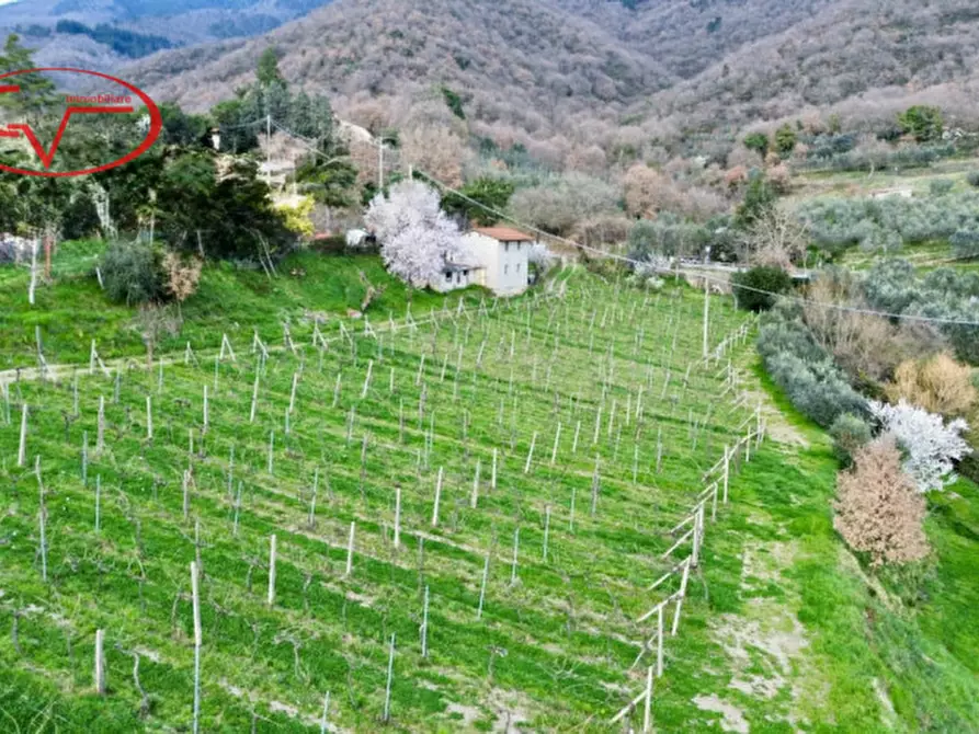 Immagine 4 di Magazzino in vendita  in Strada vicinale di Faeto a Loro Ciuffenna