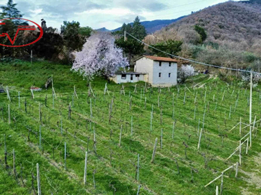 Immagine 9 di Magazzino in vendita  in Strada vicinale di Faeto a Loro Ciuffenna