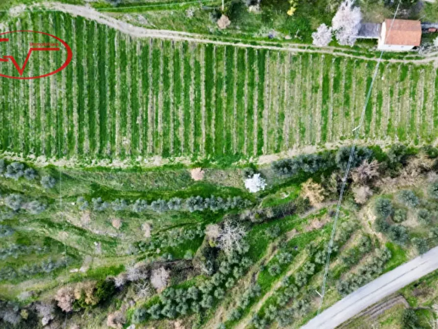 Immagine 12 di Magazzino in vendita  in Strada vicinale di Faeto a Loro Ciuffenna