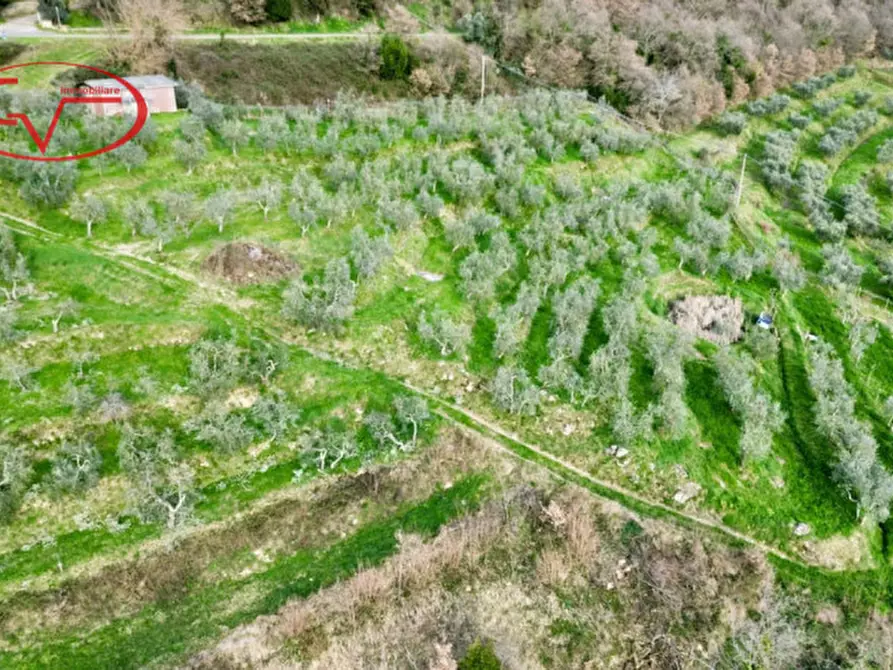 Immagine 3 di Magazzino in vendita  in Strada vicinale di Faeto a Loro Ciuffenna