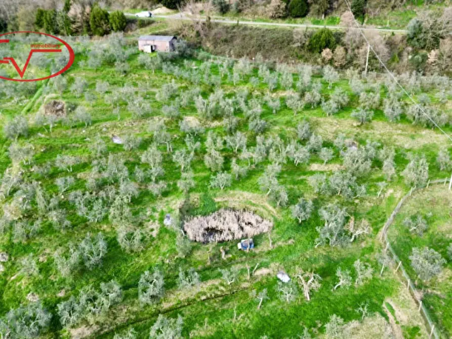 Immagine 5 di Magazzino in vendita  in Strada vicinale di Faeto a Loro Ciuffenna