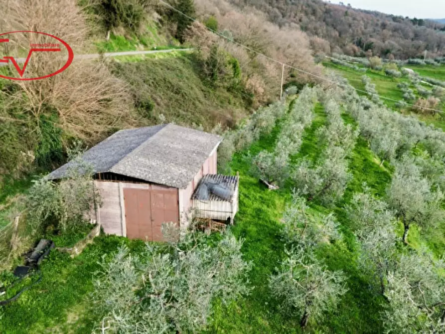 Immagine 6 di Magazzino in vendita  in Strada vicinale di Faeto a Loro Ciuffenna