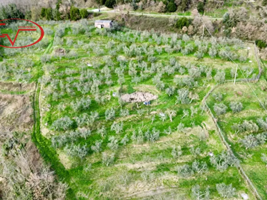 Immagine 7 di Magazzino in vendita  in Strada vicinale di Faeto a Loro Ciuffenna