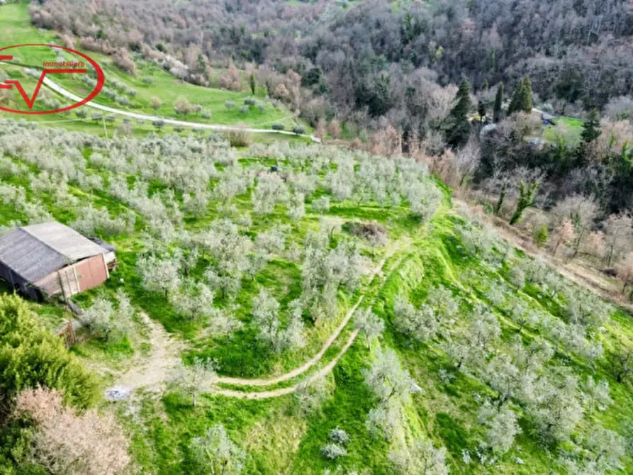 Immagine 8 di Magazzino in vendita  in Strada vicinale di Faeto a Loro Ciuffenna