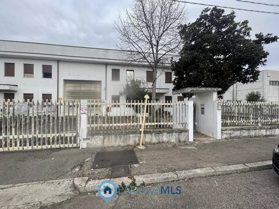 Immagine 1 di Capannone industriale in vendita  a Saccolongo