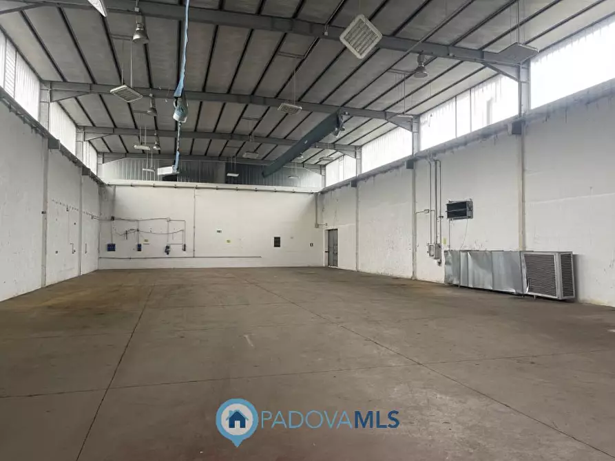 Immagine 2 di Capannone industriale in vendita  a Saccolongo