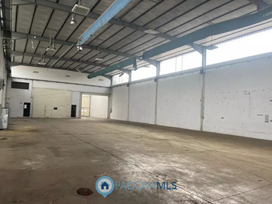 Immagine 3 di Capannone industriale in vendita  a Saccolongo