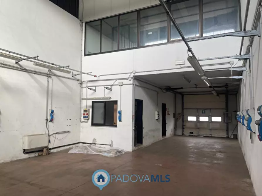 Immagine 4 di Capannone industriale in vendita  a Saccolongo