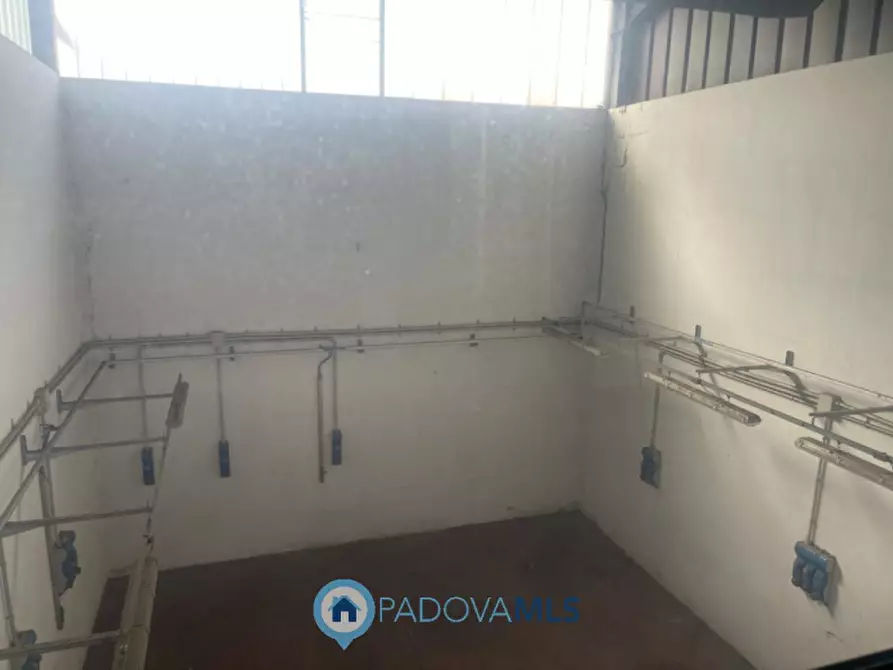 Immagine 6 di Capannone industriale in vendita  a Saccolongo