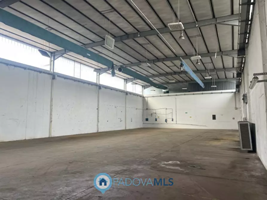 Immagine 11 di Capannone industriale in vendita  a Saccolongo