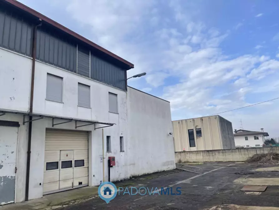 Immagine 25 di Capannone industriale in vendita  a Saccolongo