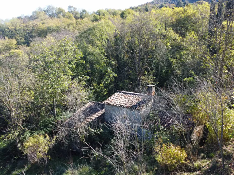Immagine 7 di Rustico / casale in vendita  in Via Abate Barbieri a Torreglia